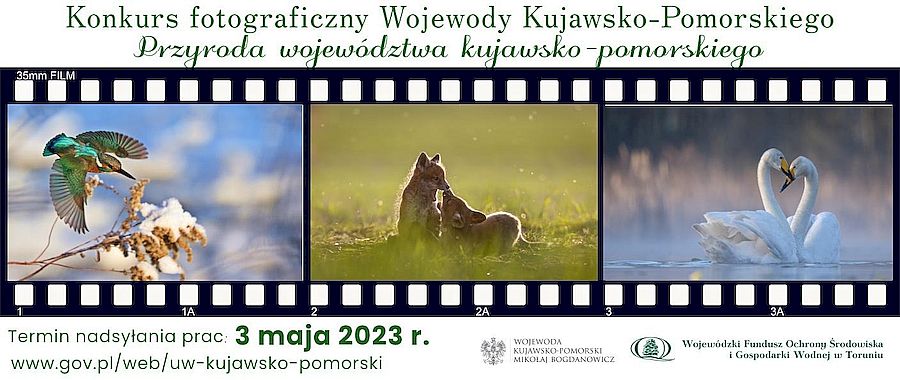Plakat Przyroda województwa kujawsko pomorskiego 2023 1