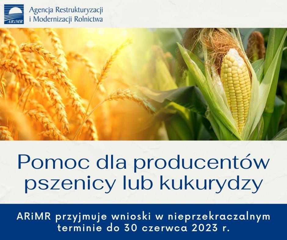 Pomoc finansowa dla producentów pszenicy lub kukurydzy którzy ponieśli straty spowodowane agresją Federacji Rosyjskiej na Ukrainęjpg