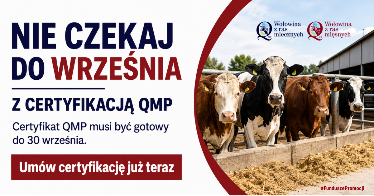 Baner QMP certyfikacja